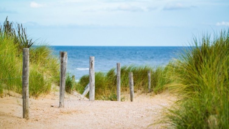 Снимка: Pixabay