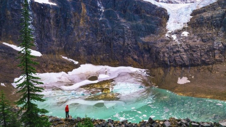 Снимка: Pixabay