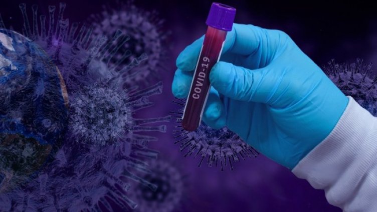 Снимка: Pixabay