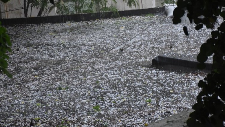 Снимка: архив, БГНЕС