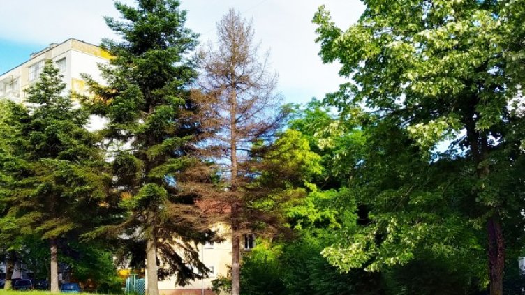 Снимка: Helpbook