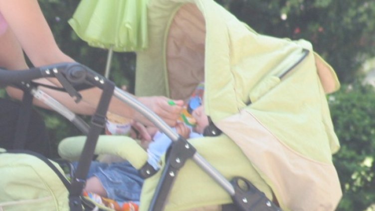 Снимка: архив, БГНЕС