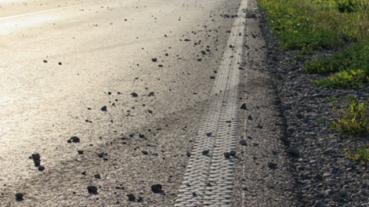 Снимка: архив, БГНЕС