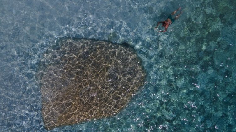 Снимка: архив, БГНЕС