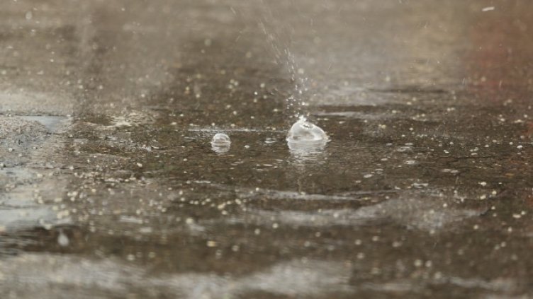 Снимка: БГНЕС, архив