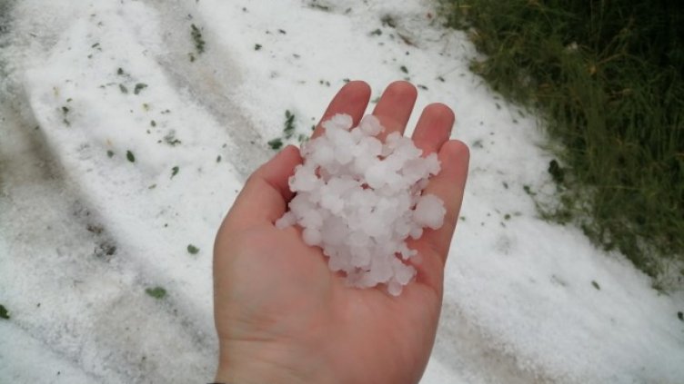 Снимка: архив, БГНЕС