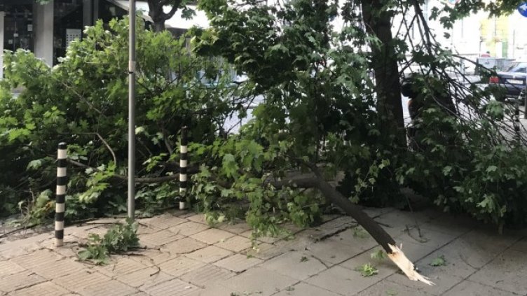 Снимка: БГНЕС