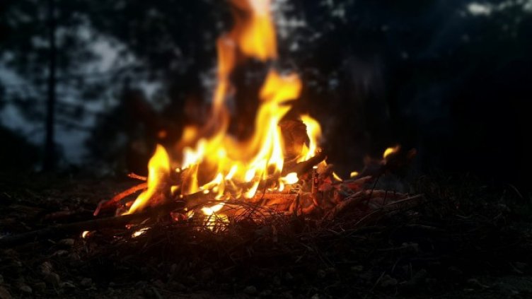 Снимка: Pixabay