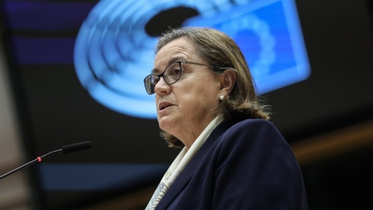 Снимка: архив, БГНЕС