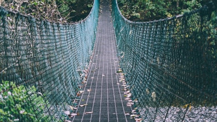 Снимка: Pixabay