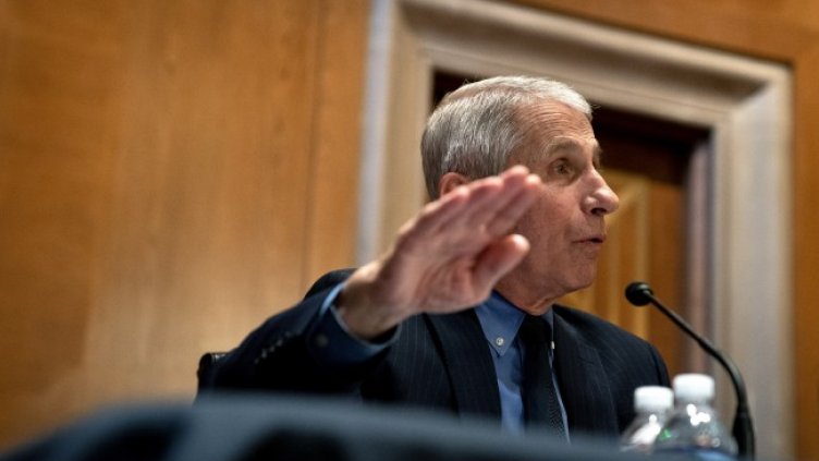 Снимка: архив, БГНЕС