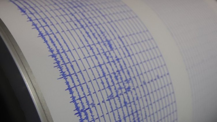 Снимка: архив, БГНЕС