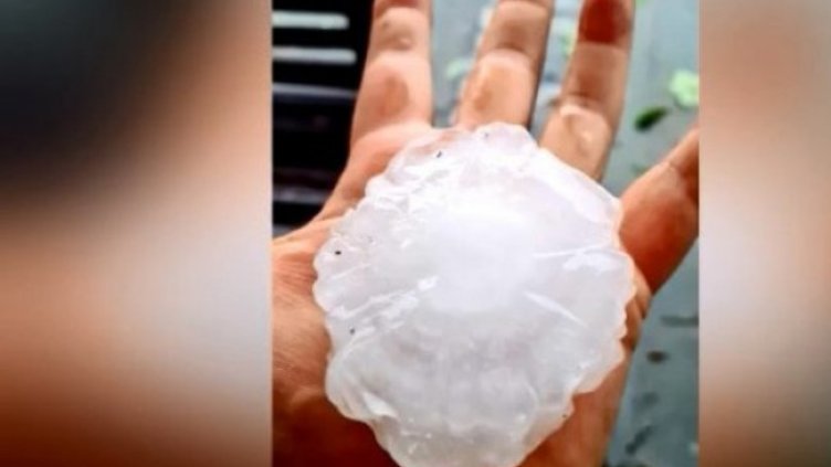 Снимка: Bulgaria ON AIR