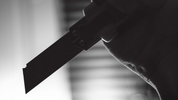 Снимка: Pixabay