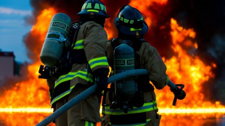 Снимка: Pixabay