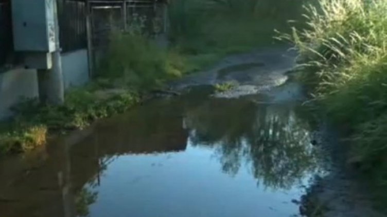 Снимка: Кадър, БНТ