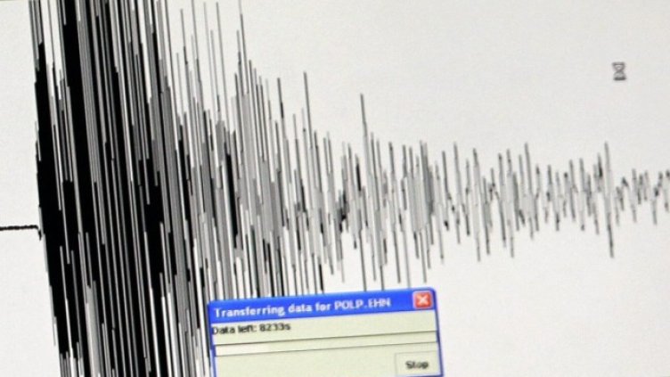 Снимка: архив, БГНЕС