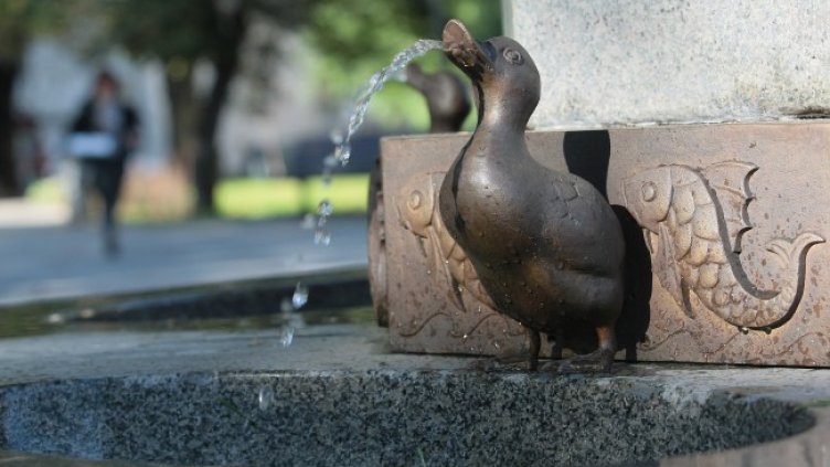 Снимка: БГНЕС