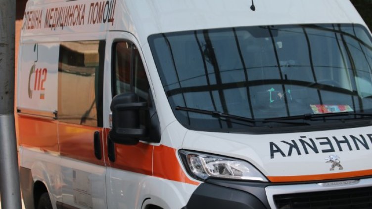 Снимка: архив, БГНЕС