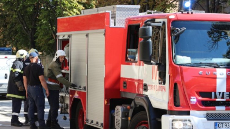 Снимка: БГНЕС