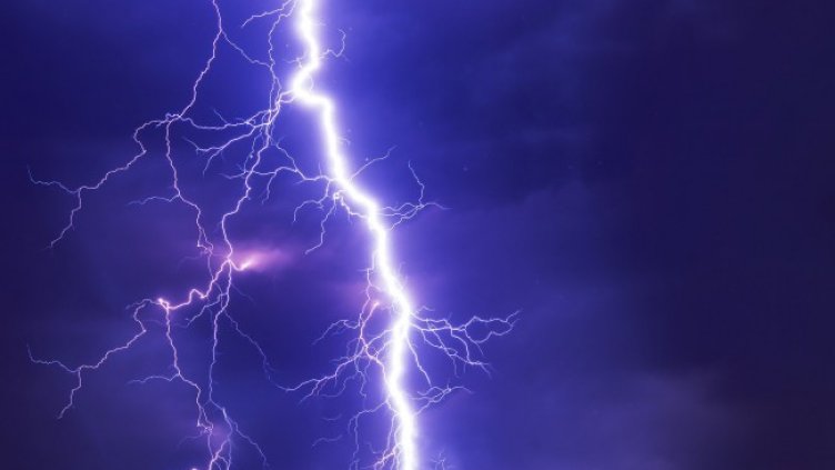 Снимка: Pixabay