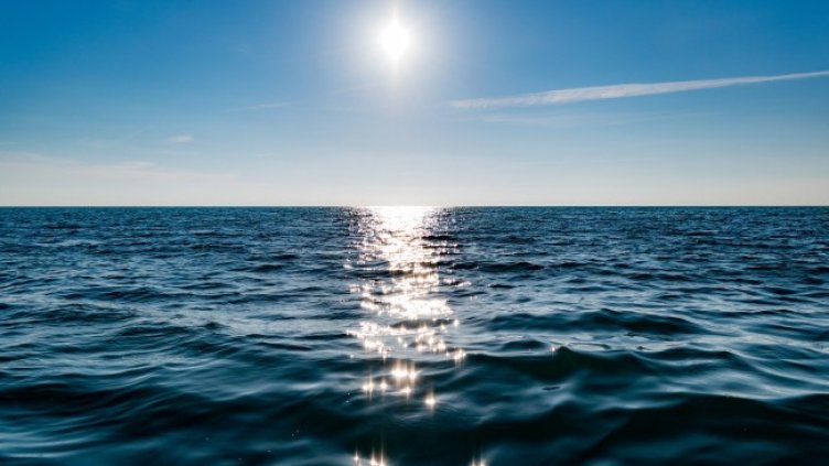 Снимка: Pixabay