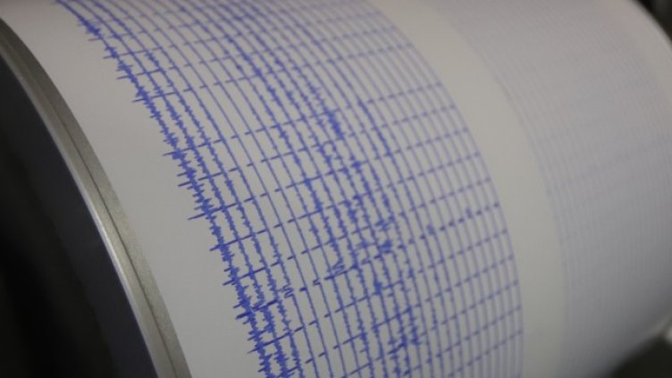 Снимка: архив, БГНЕС