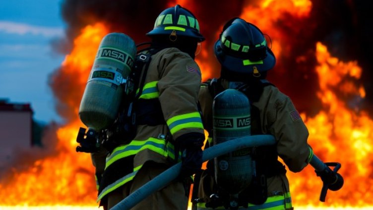 Снимка: Pixabay