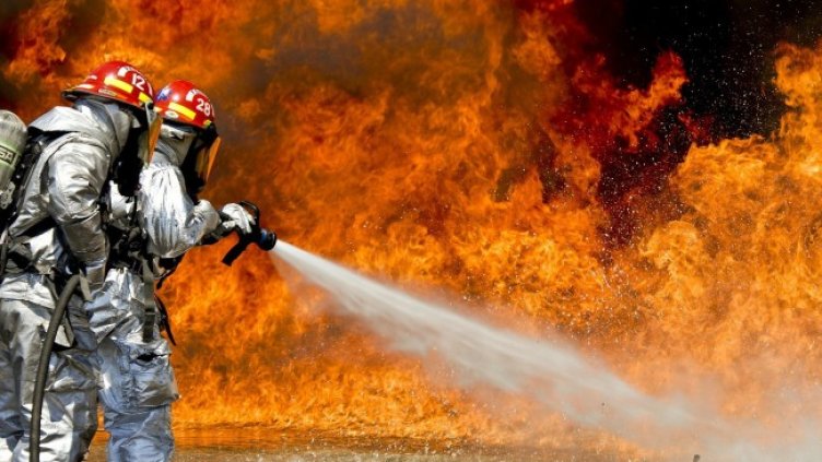 Снимка: Pixabay