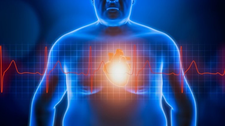 Снимка: istock