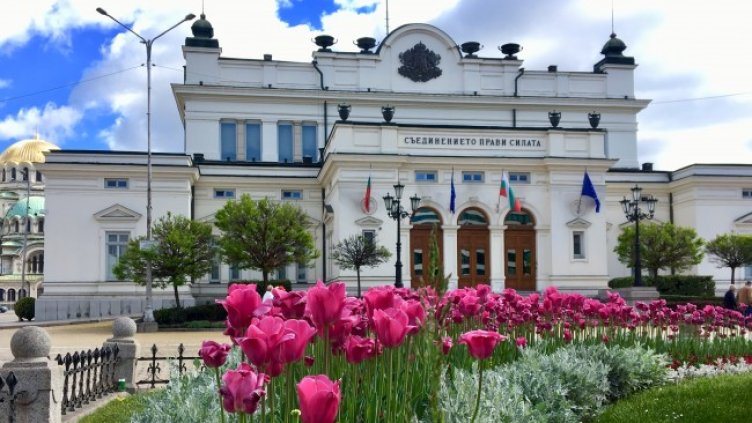 Снимка: Димитър Кьосемарлиев, Dnes.bg