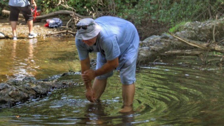 Снимка: Димитър Кьосемарлиев, Dnes.bg