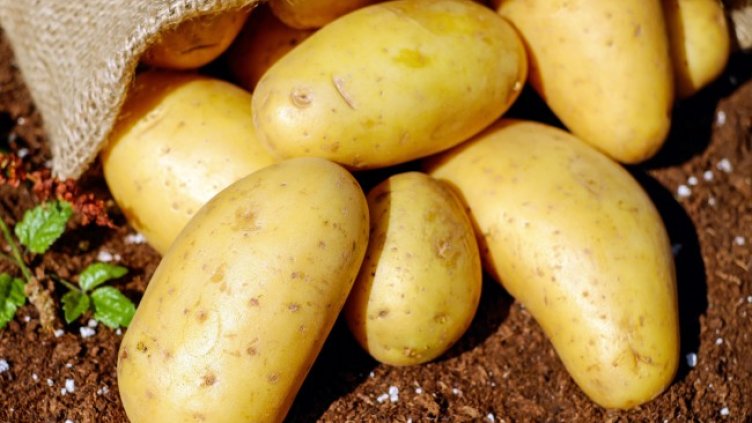 Снимка: Pexels