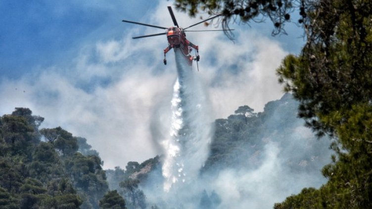 Снимка: архив, БГНЕС