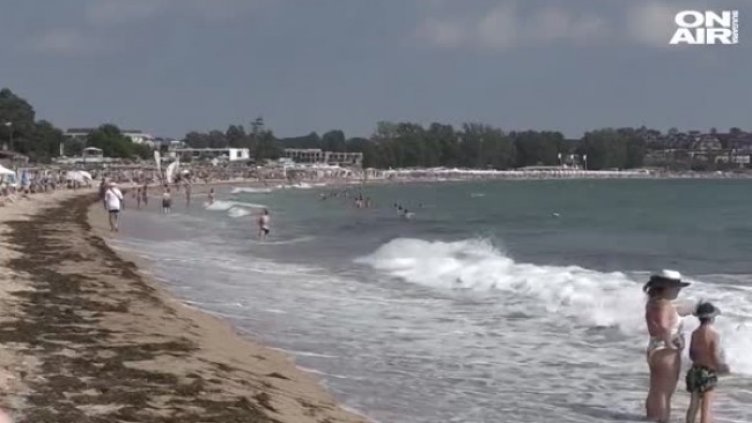 Почистване с награда: Музика и коктейли на еко партито на къмпинг "Градина"