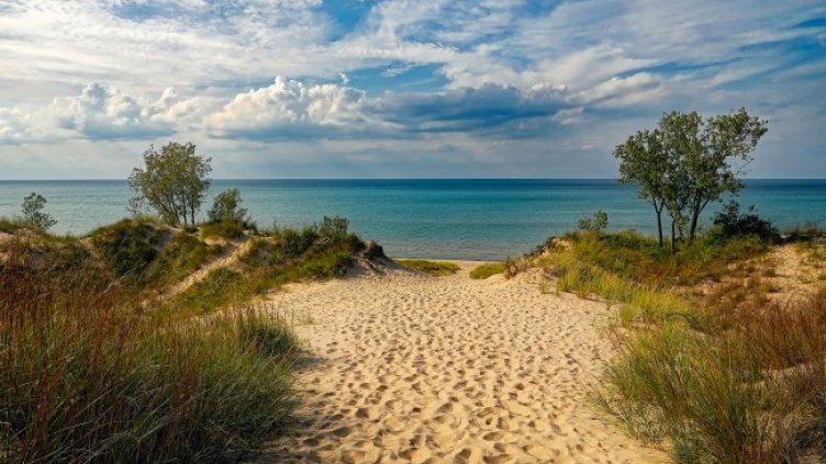 Снимка: Pixabay