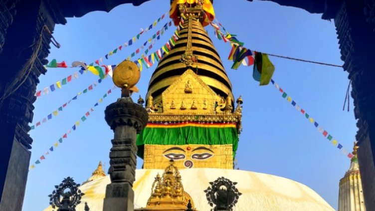 Снимка: Istock