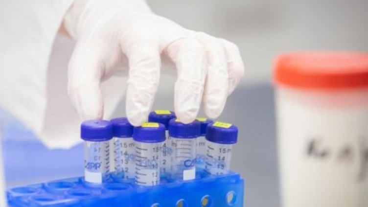 Снимка:Димитър Кьосемарлиев, Dnes.bg