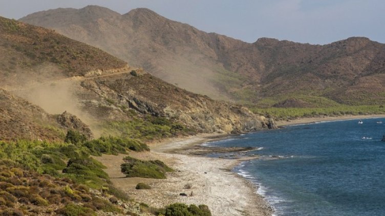 Снимка: архив, БГНЕС