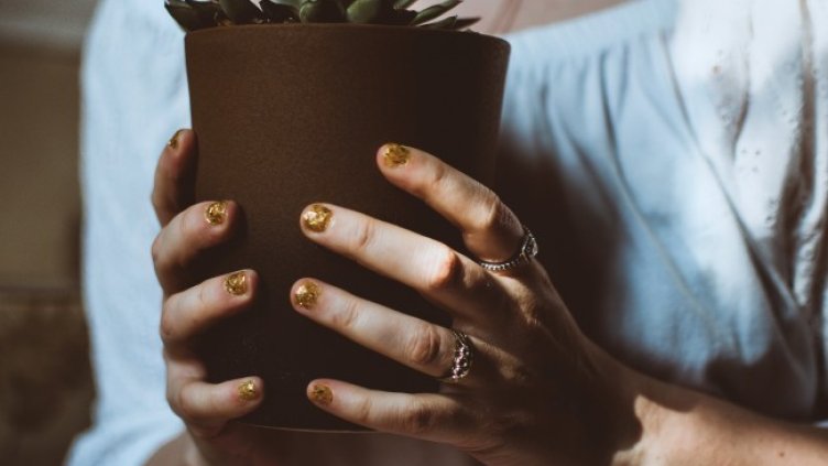 Снимка: Pexels