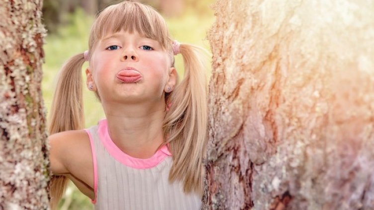 Снимка: Pixabay