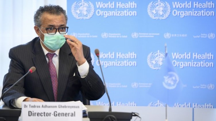 Снимка: архив, БГНЕС