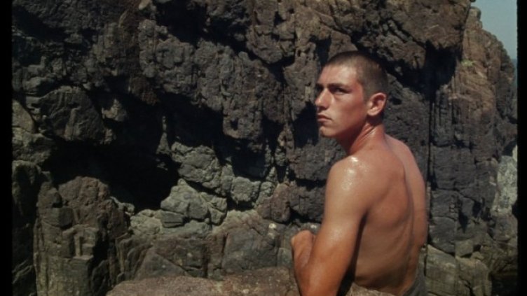 Снимка: Арт фест