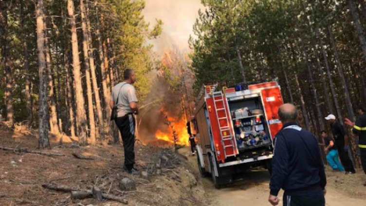 Снимка: БГНЕС