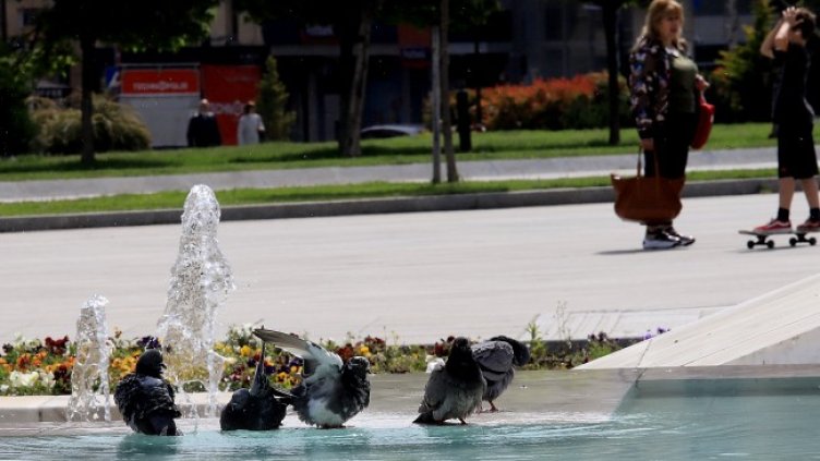 Снимка: БГНЕС