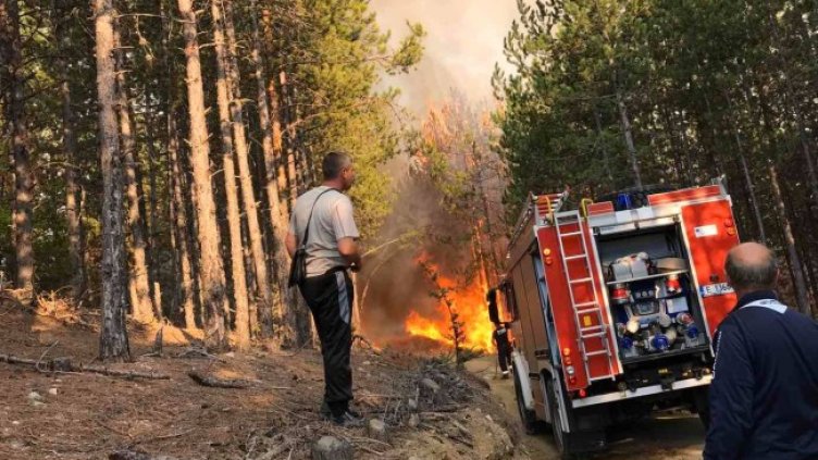 Снимка: БГНЕС