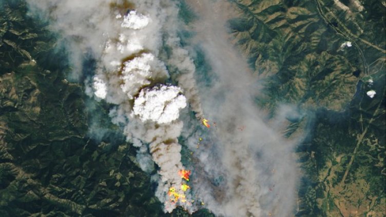 Снимка: БГНЕС