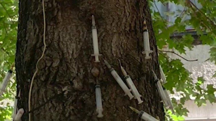 Кадър: Нова тв