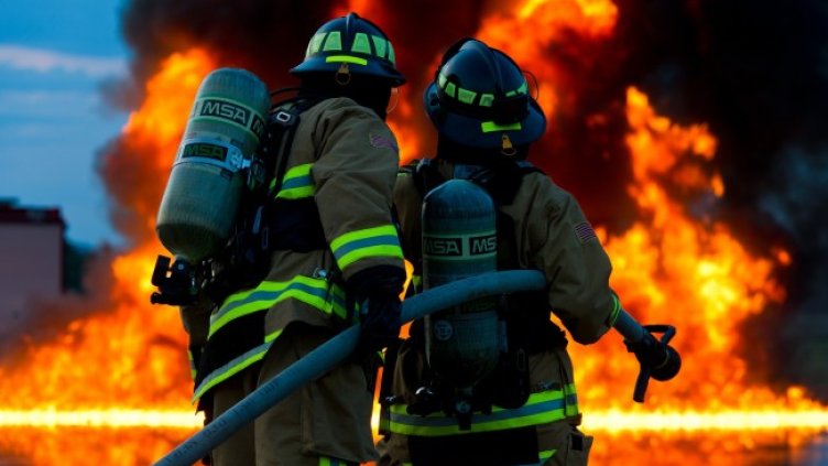 Снимка: Pixabay