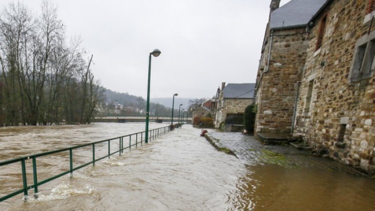 Снимка: БГНЕС